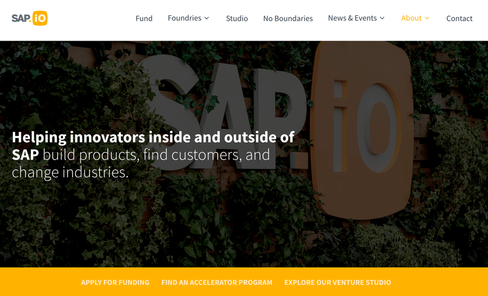 SAP choose a .IO domain for their Venture Fund and Accelerator Programs
