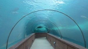 Atlantis Bahamas Tunnels