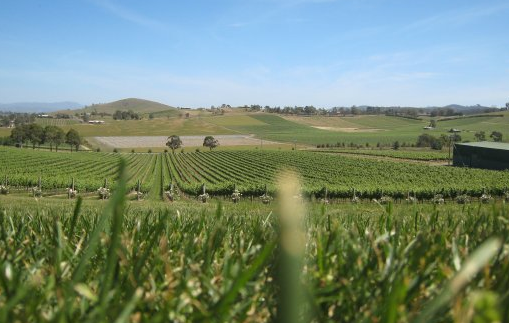 wine_country